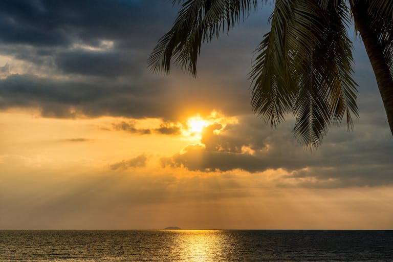 Breathtaking tropical sunset over the ocean with silhouetted palm trees, perfect for vacation themes.